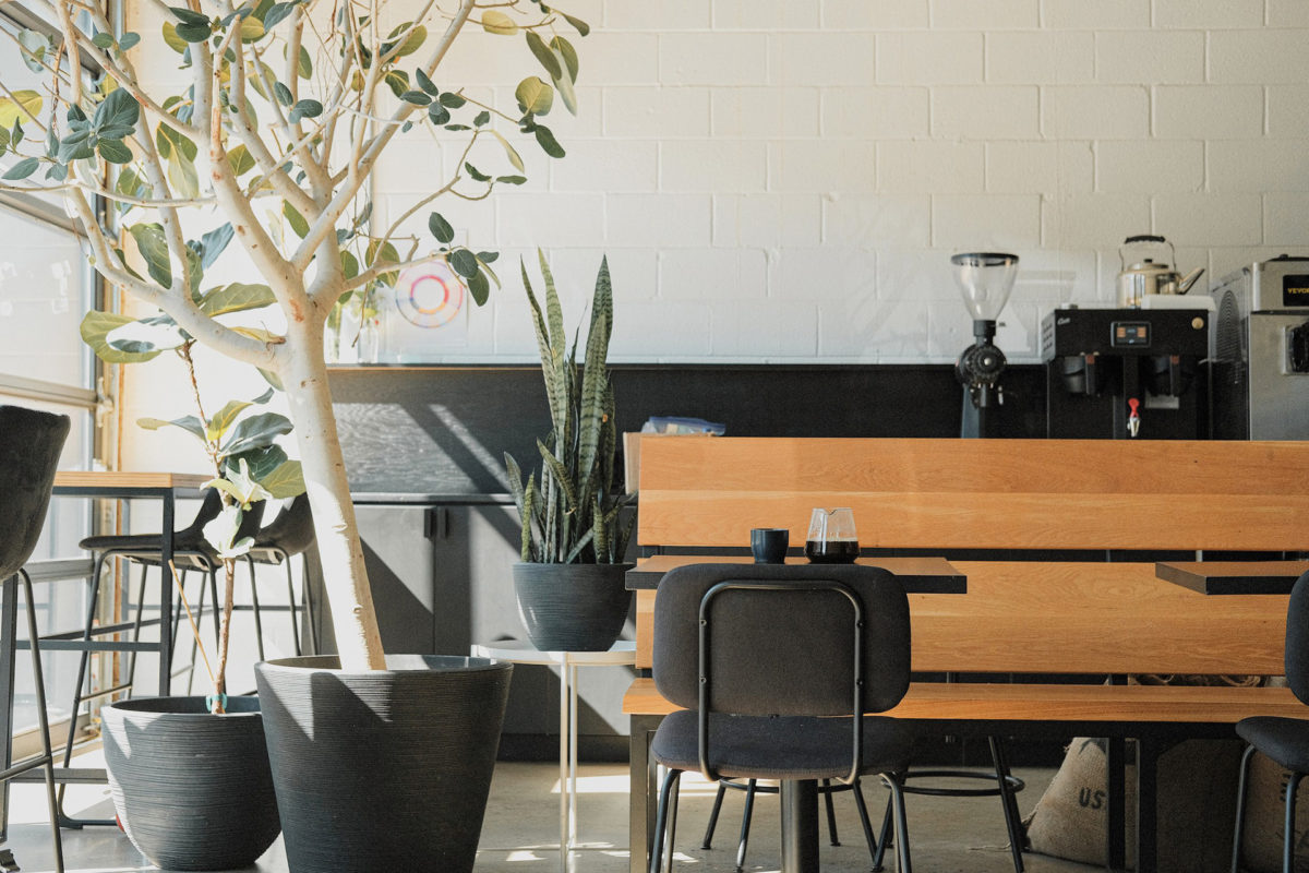 charlotte hex interior chloeweiser