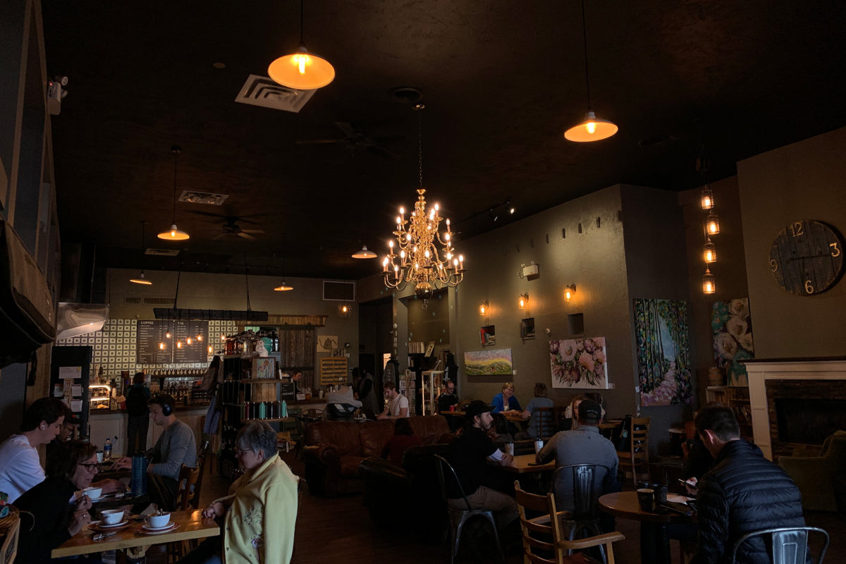 edmonton coffee guide square one interior frederica danzinger
