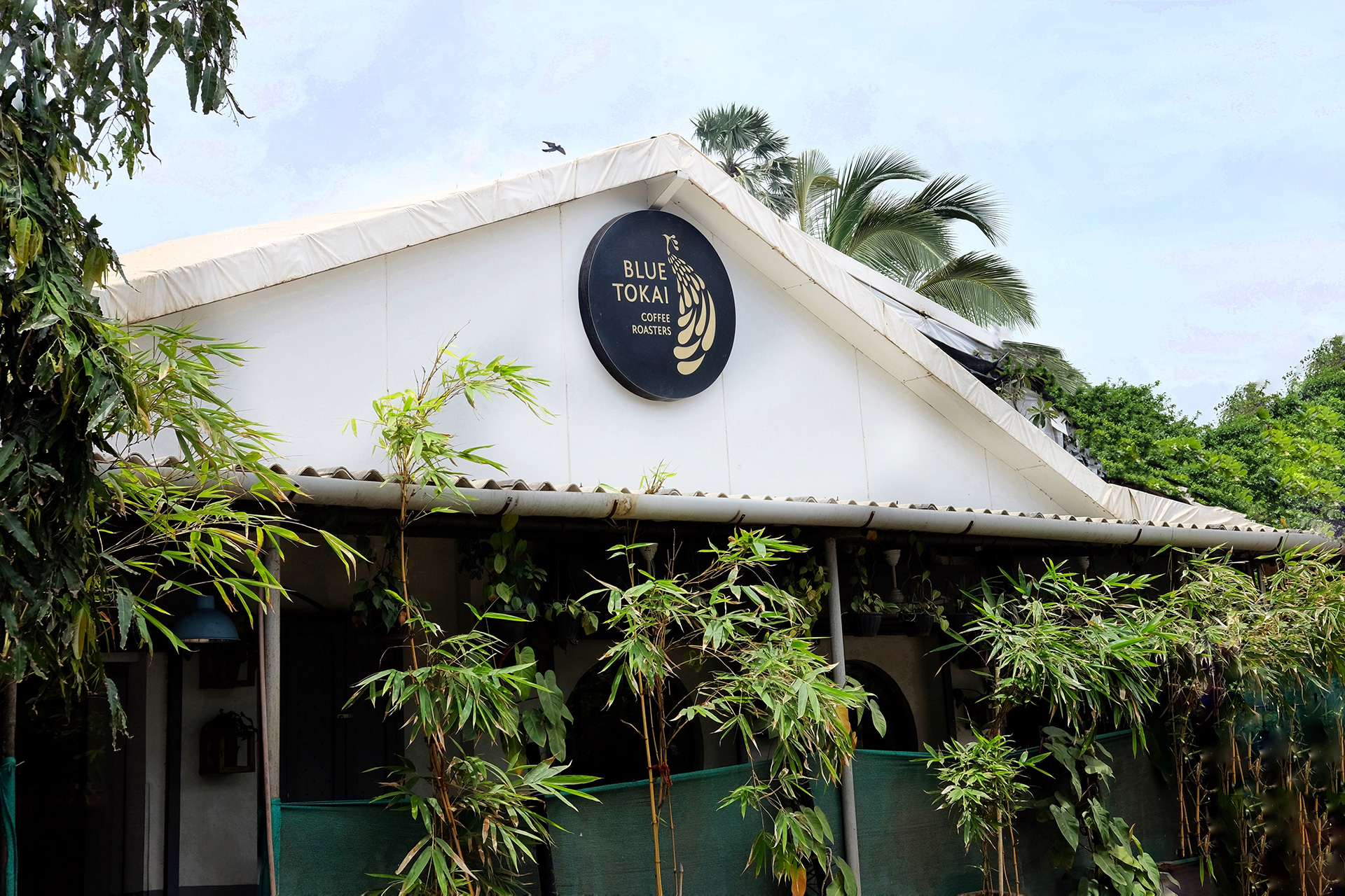 mumbai india coffee guide
