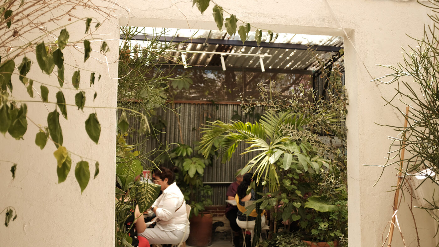 oaxaca guide onna 2